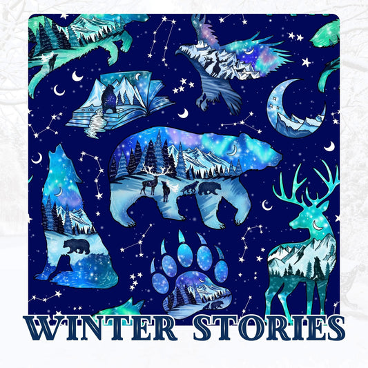 WINTER STORIES | WINTER WONDERLAND